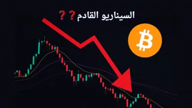 هبوط البيتكوين بنسبة 8% | مع بداية ديسمبر