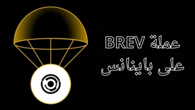 عملة BREV على باينانس
