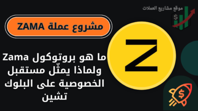 عملة ZAMA