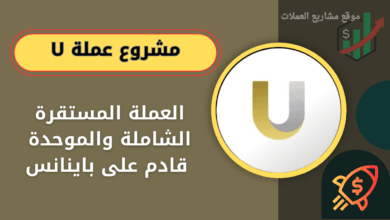 عملة U على منصة باينانس