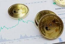 سعر دوجكوين