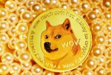عملة Dogecoin