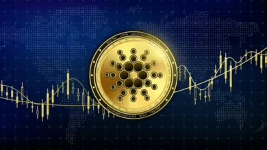 تحديث Cardano