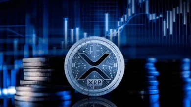 شركة Ripple